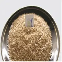 Sesame Seeds